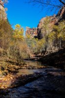 Subway\'14-95.jpg Subway\'14-95.jpg