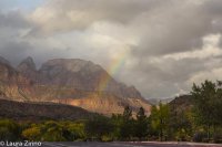Springdale Rainbow.jpg