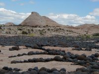 P1010132.JPG P1010132.JPG