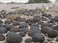 P1010126.JPG P1010126.JPG