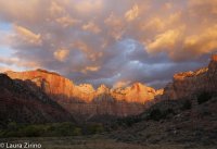 Epic Sunrise longview.jpg