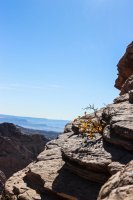 Snow Canyon Rim 005-5.jpg