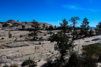 Snow Canyon Rim 021-20.jpg