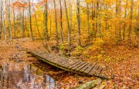 DSC_9525-Inman Lake Hike.jpg