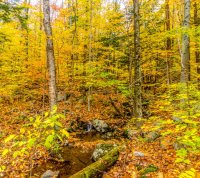 DSC_9531-Inman Lake Hike.jpg