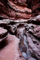 Cathedral Wash-Water Canyon-18.jpg