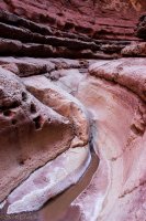 Cathedral Wash-Water Canyon-24.jpg