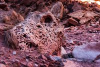 Cathedral Wash-Water Canyon-37.jpg