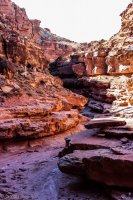 Cathedral Wash-Water Canyon-43.jpg