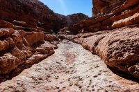 Cathedral Wash-Water Canyon-45.jpg