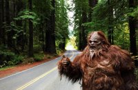 bigfoot.jpg