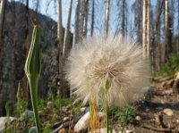 DSCF1007.JPG DSCF1007.JPG