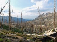 DSCF1018.JPG DSCF1018.JPG