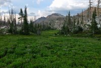 DSCF1021.JPG DSCF1021.JPG