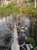 DSCF1036.JPG DSCF1036.JPG