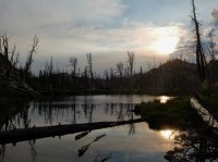 DSCF1040.JPG DSCF1040.JPG