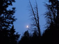 DSCF1161.JPG DSCF1161.JPG