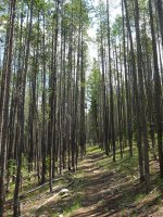 DSCF1193.JPG DSCF1193.JPG