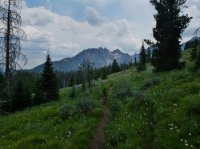 DSCF1209.JPG DSCF1209.JPG