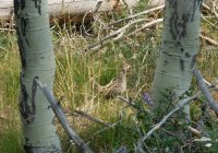 DSCF1216.JPG DSCF1216.JPG