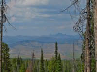 DSCF1232.JPG DSCF1232.JPG