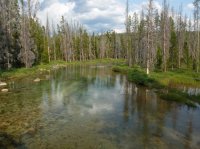 DSCF1245.JPG DSCF1245.JPG