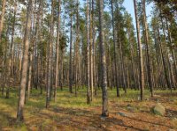 DSCF1249.JPG DSCF1249.JPG