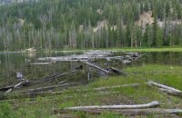 DSCF1268.JPG DSCF1268.JPG