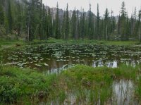 DSCF1284.JPG DSCF1284.JPG