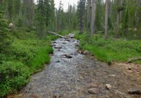 DSCF1288.JPG DSCF1288.JPG