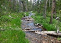 DSCF1289.JPG DSCF1289.JPG