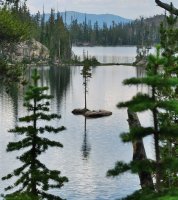 DSCF1301 (2).jpg DSCF1301 (2).jpg