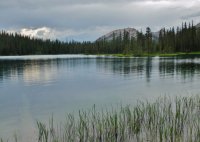 DSCF1317.JPG DSCF1317.JPG