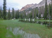 DSCF1321.JPG DSCF1321.JPG