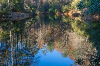 DSC03849.jpg DSC03849.jpg