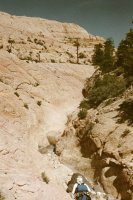 86730_13.JPG 86730_13.JPG