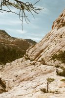 86730_14.JPG 86730_14.JPG