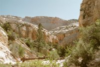 86730_22.JPG 86730_22.JPG