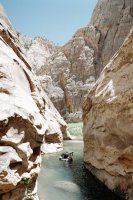 86732_11.JPG 86732_11.JPG