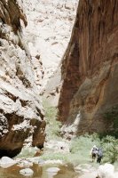 86732_14.JPG 86732_14.JPG