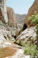 86732_20.JPG 86732_20.JPG