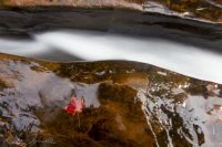 IMG_7342.jpg IMG_7342.jpg