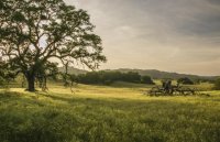 Peaceful.jpg Peaceful.jpg