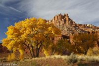 Cottonwood & Castle.jpg Cottonwood & Castle.jpg