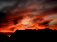 2014_2.jpg 2014_2.jpg