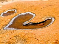 IMG_2625.jpg IMG_2625.jpg