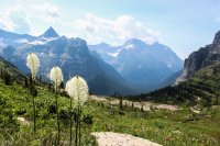 Glacier \'14-117.jpg