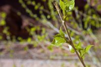 IMG_0351.jpg IMG_0351.jpg