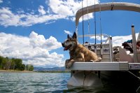 IMG_7871.jpg IMG_7871.jpg