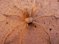 P1000152.JPG P1000152.JPG